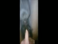 Mare getting fingered in horse porn video